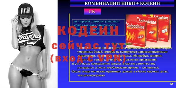 дживик Мегион